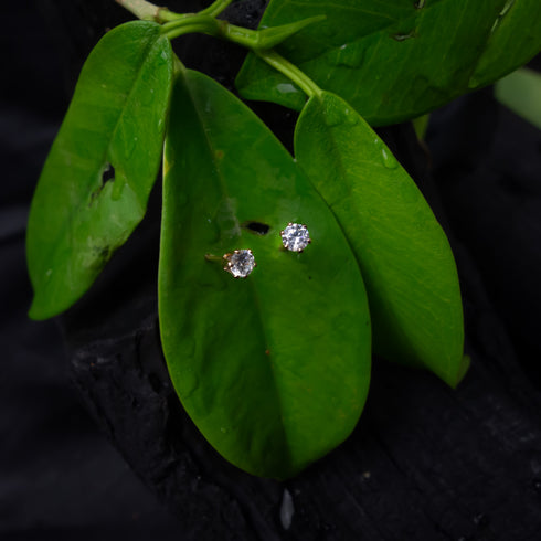 Zirconia Round Stud Earrings - D101-1