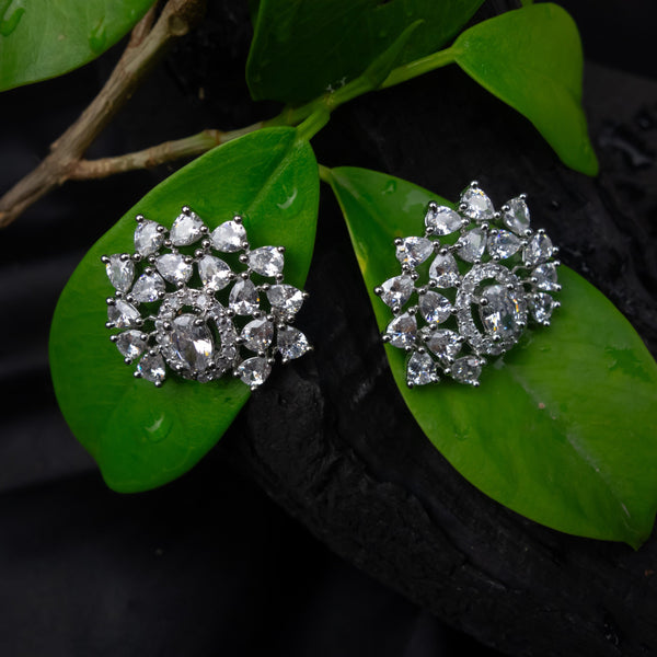 Crystals Oval Shaped Earrings - D158
