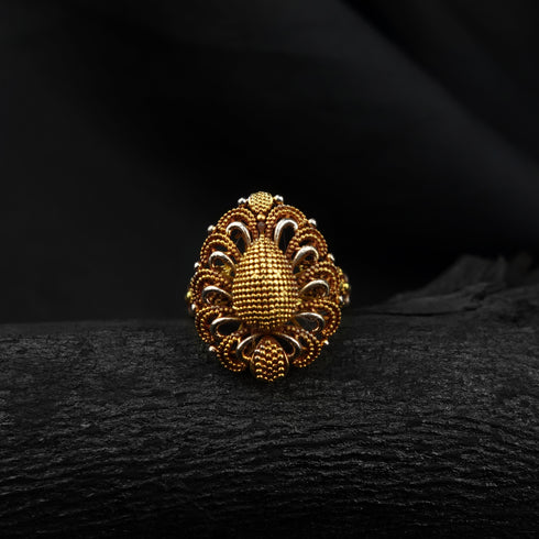 Timeless Treasure Silver ring-DS 135