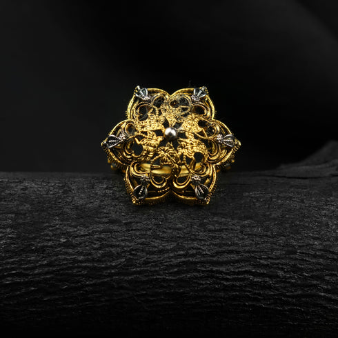 Whimsical Gleam Silver ring-DS 137