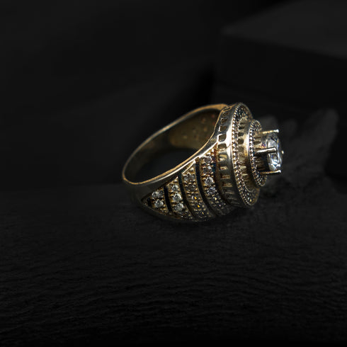 Luxury men silve ring-DS 101