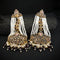 Multi Aarian Danglers Silver Earrings-DS 113