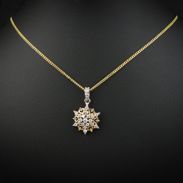 Regal Silver Necklace Set-DS 23